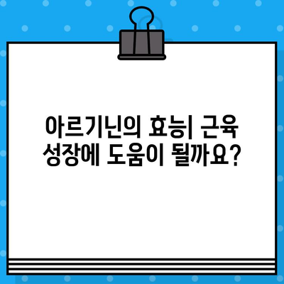 아르기닌, 근육 성장에 효과적인가? | 근육 성장, 아르기닌 효능, 운동 보충제, 운동 영양