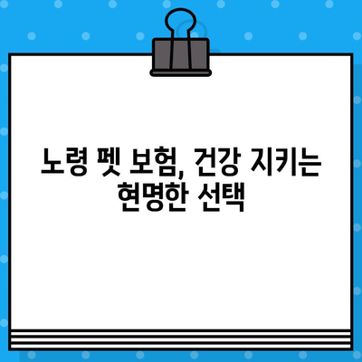 노령 펫, 보험으로 건강 지키세요! | 반려동물 보험, 노령견 보험, 노령묘 보험, 보장 범위 비교