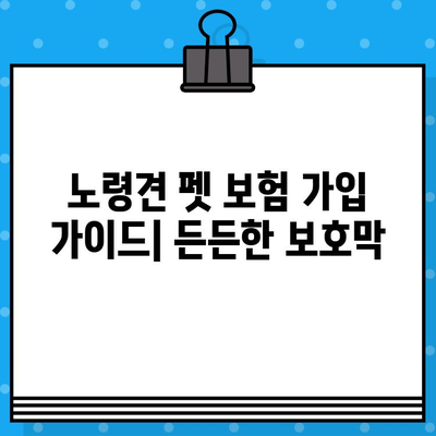 노령견도 OK! 든든한 보호막, 노령견 펫 보험 가입 가이드 | 펫보험, 노령견 건강, 보장 범위, 추천 상품