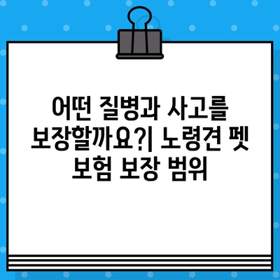 노령견도 OK! 든든한 보호막, 노령견 펫 보험 가입 가이드 | 펫보험, 노령견 건강, 보장 범위, 추천 상품