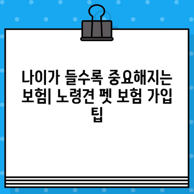 노령견도 OK! 든든한 보호막, 노령견 펫 보험 가입 가이드 | 펫보험, 노령견 건강, 보장 범위, 추천 상품