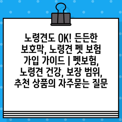 노령견도 OK! 든든한 보호막, 노령견 펫 보험 가입 가이드 | 펫보험, 노령견 건강, 보장 범위, 추천 상품