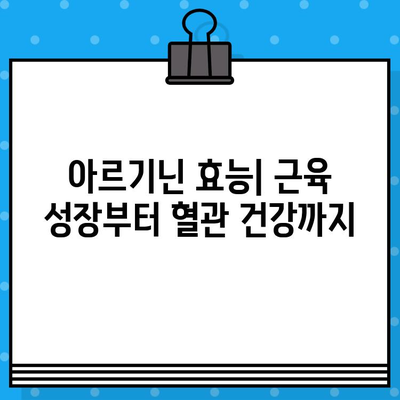 6000mg 고함량 아르기닌 추천| 아르갈랑 찐후기 & 장단점 비교 | 아르기닌 효능, 복용법, 부작용