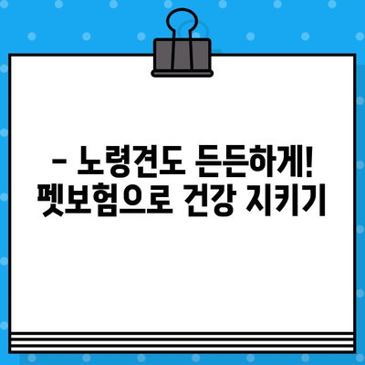 노령견도 OK! 든든한 보장, 펫보험 추천 가이드 | 노령견 펫보험, 견종별 보험료 비교, 보험 가입 팁