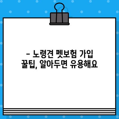 노령견도 OK! 든든한 보장, 펫보험 추천 가이드 | 노령견 펫보험, 견종별 보험료 비교, 보험 가입 팁