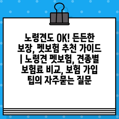 노령견도 OK! 든든한 보장, 펫보험 추천 가이드 | 노령견 펫보험, 견종별 보험료 비교, 보험 가입 팁