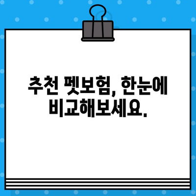 반려묘 보험 가입, 이것만 알면 OK! 🐶🐱 | 펫보험 가입 고려 사항, 보장 범위 비교, 추천 보험