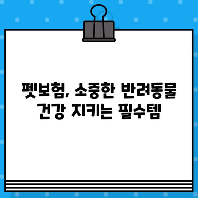 애완동물 보호, 펫보험으로 완벽하게! 꼭 알아야 할 가입 필수 사항 | 펫보험, 보장 범위, 가입 가이드