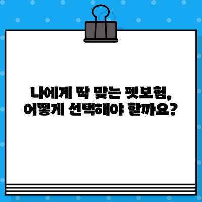 애완동물 보호, 펫보험으로 완벽하게! 꼭 알아야 할 가입 필수 사항 | 펫보험, 보장 범위, 가입 가이드