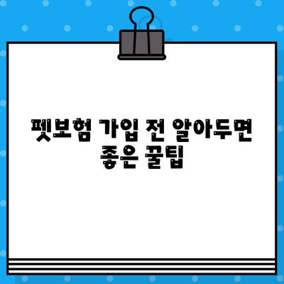 애완동물 보호, 펫보험으로 완벽하게! 꼭 알아야 할 가입 필수 사항 | 펫보험, 보장 범위, 가입 가이드