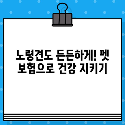 노령견도 OK! 든든한 보호막, 펫 보험 알아보기 | 노령견 보험, 펫 보험 비교, 반려동물 보험 추천