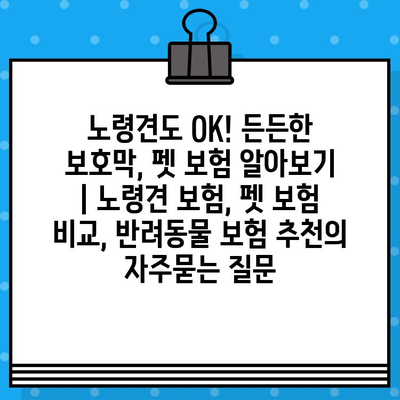 노령견도 OK! 든든한 보호막, 펫 보험 알아보기 | 노령견 보험, 펫 보험 비교, 반려동물 보험 추천