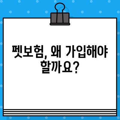 반려동물 보호, 이제는 펫보험으로! 가입 이유와 혜택 알아보기 | 펫보험, 반려동물 의료비, 보험 가입