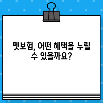 반려동물 보호, 이제는 펫보험으로! 가입 이유와 혜택 알아보기 | 펫보험, 반려동물 의료비, 보험 가입