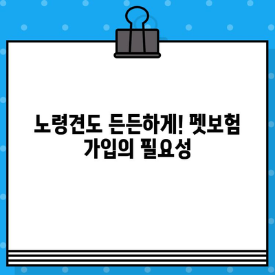 노령견도 OK! 든든한 보호막, 펫보험 가입 가이드 | 노령견 펫보험, 보험료 비교, 보장 범위