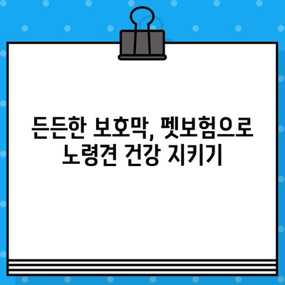 노령견도 OK! 든든한 보호막, 펫보험 가입 가이드 | 노령견 펫보험, 보험료 비교, 보장 범위