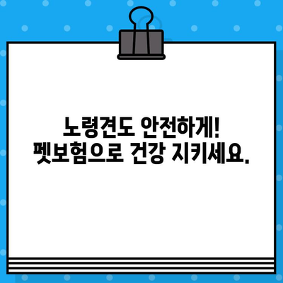 노령견도 OK! 든든한 보장, 펫보험 가입 가이드 | 노령견 보험, 펫보험 비교, 반려동물 보험