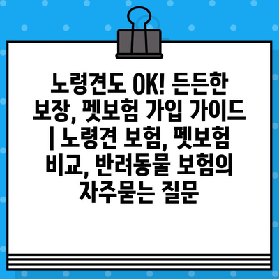 노령견도 OK! 든든한 보장, 펫보험 가입 가이드 | 노령견 보험, 펫보험 비교, 반려동물 보험