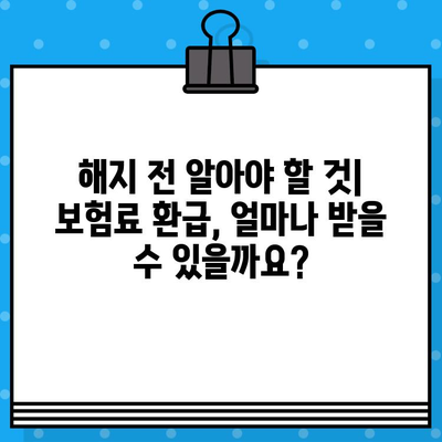 종합보험 가입 후 꼭! 확인해야 할 5가지 사항 | 보장 범위, 면책 조항, 계약 내용, 해지, 환급