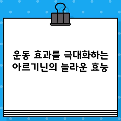 운동 후 빠른 회복, 고함량 아르기닌 분말이 답이다 | 피로회복, 근육 성장, 면역력 강화