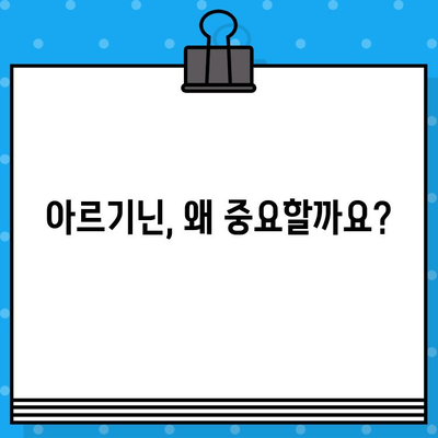 아르기닌 효능 극대화| 고함량 아르기닌 제품, 효과적인 선택 가이드 | 아르기닌, 건강, 보충제, 근육 성장, 면역력