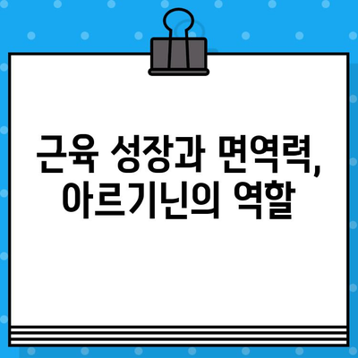 아르기닌 효능 극대화| 고함량 아르기닌 제품, 효과적인 선택 가이드 | 아르기닌, 건강, 보충제, 근육 성장, 면역력