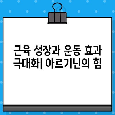 비오피테 파워 아르기닌 5000| 고함량 액상 아르기닌의 효과와 장점 | 아르기닌, 건강, 피로회복, 근육 성장, 면역력