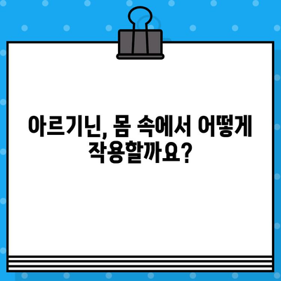 아르기닌의 효능과 작용 원리| 제품 비교 가이드 | 건강, 영양, 운동, 보충제