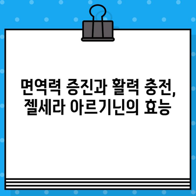 종근당 젤세라 아르기닌| 고함량 아르기닌 효과 & 추천 이유 | 건강, 체력, 면역력, 남성 건강