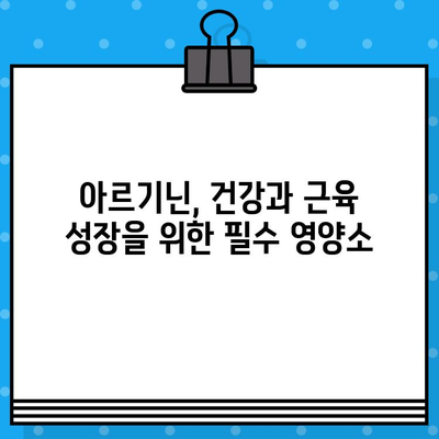 아르기닌의 놀라운 효능| 고함량 제품 비교분석 및 추천 | 건강, 근육 성장, 면역력, 고함량 아르기닌