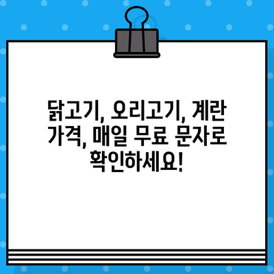 가금산물 일일 가격 무료 문자 알림| 최신 정보 바로 받기 | 가금류 시세, 닭고기, 오리고기, 계란 가격, 무료 문자 서비스