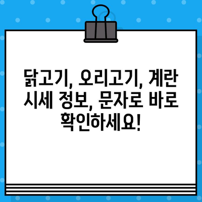 가금산물 일일가격 무료 문자 알림 서비스 | 닭고기, 오리고기, 계란, 시세 정보, 가격 변동 알림