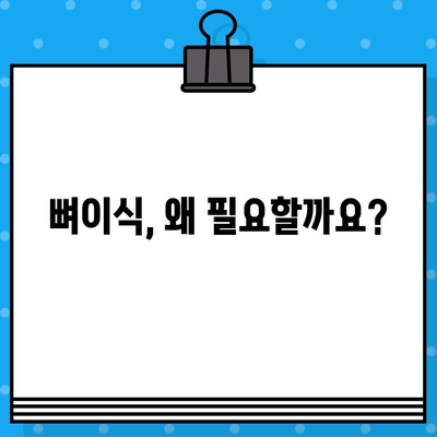 임플란트 뼈이식, 가격과 절차 완벽 가이드 | 비용, 종류, 주의사항, 후기