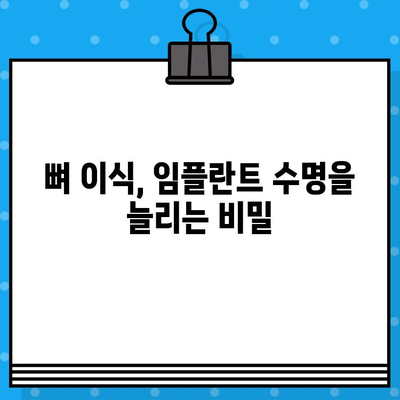 뼈 이식 후 임플란트 수명, 얼마나 길어질까요? | 뼈 이식 수술, 임플란트 성공률, 수명 연장 팁