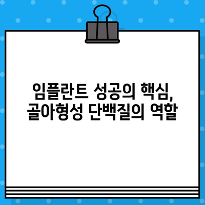 임플란트 수술 성공의 비밀, 골아형성 단백질의 역할 | 임플란트, 골융합, 치과, 수술 성공률