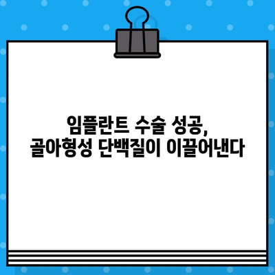 임플란트 수술 성공의 비밀, 골아형성 단백질의 역할 | 임플란트, 골융합, 치과, 수술 성공률