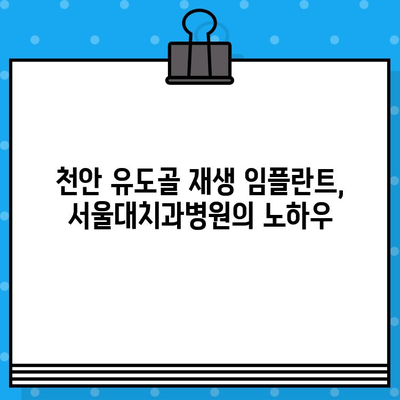 천안 유도골 재생 임플란트 고려 시 알아야 할 주의 사항 | 임플란트, 치과, 천안, 유도골 재생, 서울대치과병원