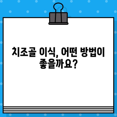 치조골 이식, 인공뼈 이식의 모든 것| 다양한 방법과 성공적인 결과를 위한 가이드 | 치조골 이식, 인공뼈, 임플란트, 치과 수술, 치주 질환