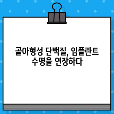 골아형성 단백질 활용, 임플란트 수명 연장의 새로운 지평 | 임플란트 수명, 골융합 촉진, 치과 치료