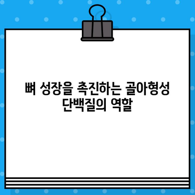 임플란트 성공의 열쇠, 골아형성 단백질| 뼈 성장 촉진의 비밀 | 임플란트, 골융합, 뼈재생, 치과