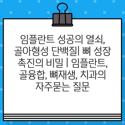 임플란트 성공의 열쇠, 골아형성 단백질| 뼈 성장 촉진의 비밀 | 임플란트, 골융합, 뼈재생, 치과