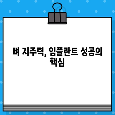 임플란트 성공의 필수 조건, 뼈 지주력 이식에 대한 모든 것 | 임플란트, 뼈이식, 지주력, 성공률, 질문과 답변