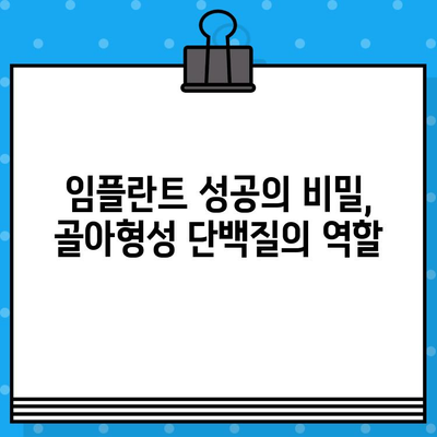 임플란트 수술 성공의 열쇠, 골아형성 단백질의 역할과 중요성 | 임플란트, 골융합, 치과, 수술