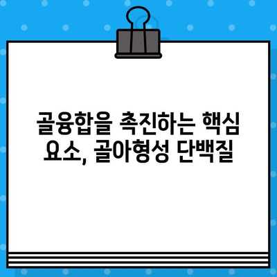 임플란트 수술 성공의 열쇠, 골아형성 단백질의 역할과 중요성 | 임플란트, 골융합, 치과, 수술