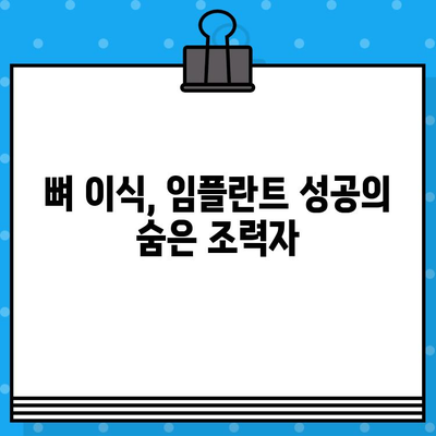 임플란트 성공을 위한 필수 조건| 뼈 이식과의 관계 이해 | 임플란트, 뼈 이식, 치과 수술, 치아 건강