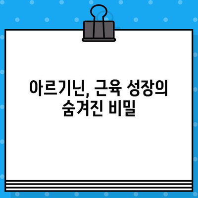 근육 성장의 핵심 열쇠| 아르기닌의 효과적인 활용법 | 근육 키우기, 보디빌딩, 운동 영양, 아미노산