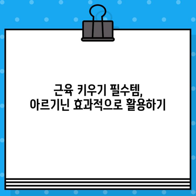 근육 성장의 핵심 열쇠| 아르기닌의 효과적인 활용법 | 근육 키우기, 보디빌딩, 운동 영양, 아미노산