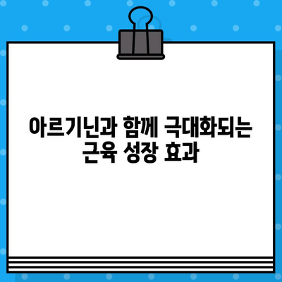 근육 성장의 핵심 열쇠| 아르기닌의 효과적인 활용법 | 근육 키우기, 보디빌딩, 운동 영양, 아미노산