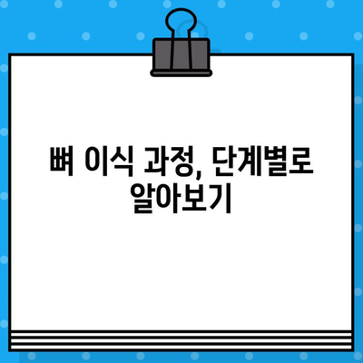 인덕원 임플란트 뼈 이식 비용 가이드| 궁금한 모든 것을 알려드립니다 | 가격, 과정, 주의사항, 추천 병원