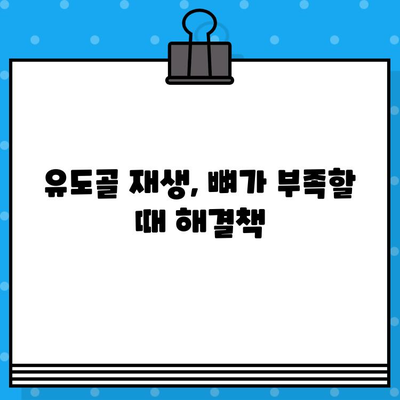 상실된 치아 대체, 임플란트 유도골 재생 고려해야 할 것들 | 임플란트, 유도골 재생, 골 이식, 치과 치료